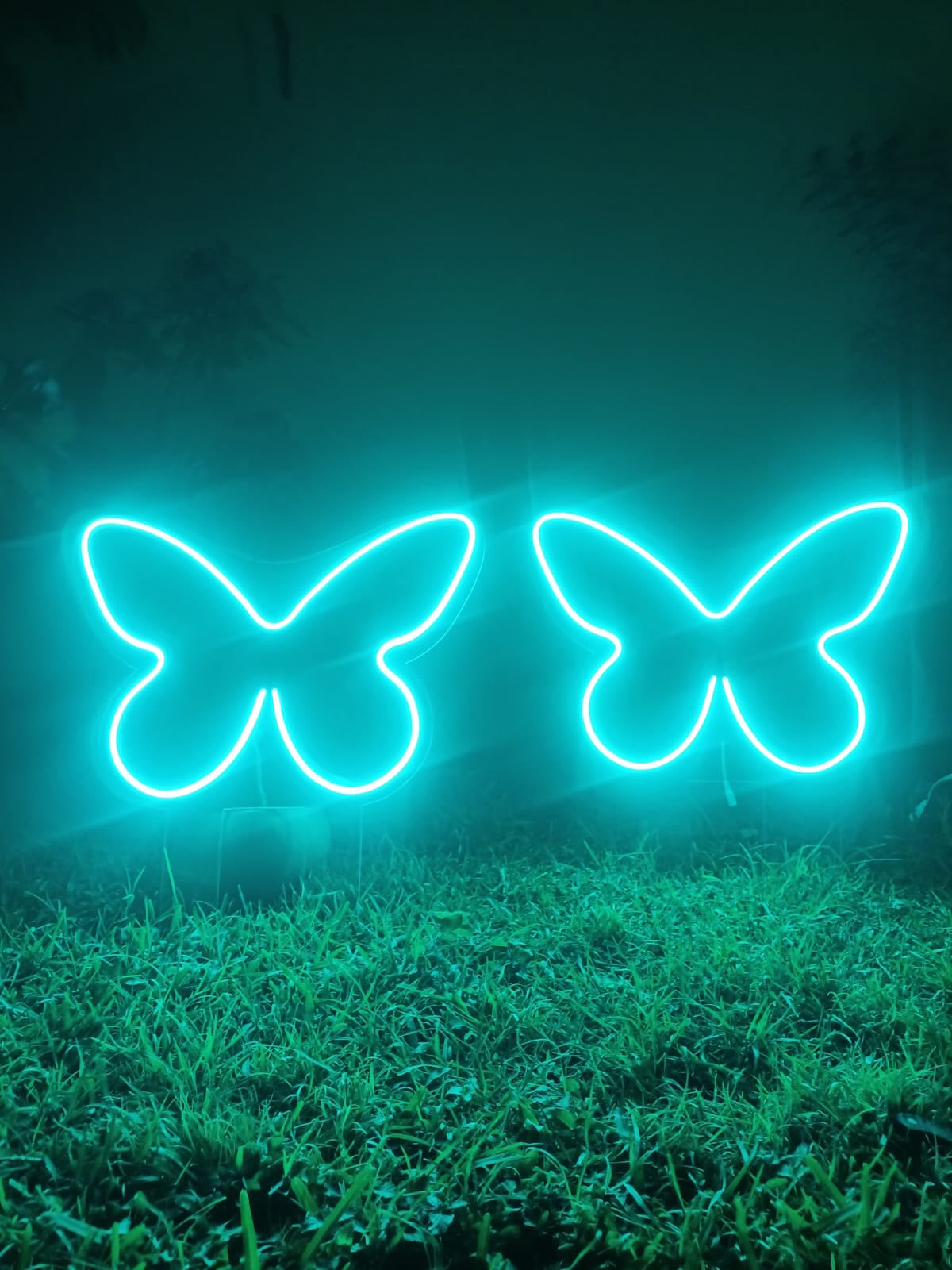 La Mariposa · Porque algunos momentos merecen volar - Lumina Ideas